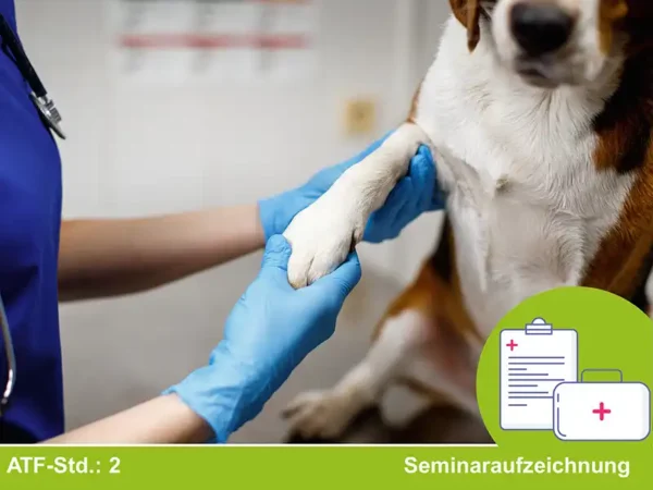 Sicher durch den Notdienst 2 - Kurs 9: Akute Lahmheit