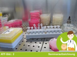 Consensus Statements für die Kleintiermedizin – Kurs 19: Aspergillus und andere Pilze