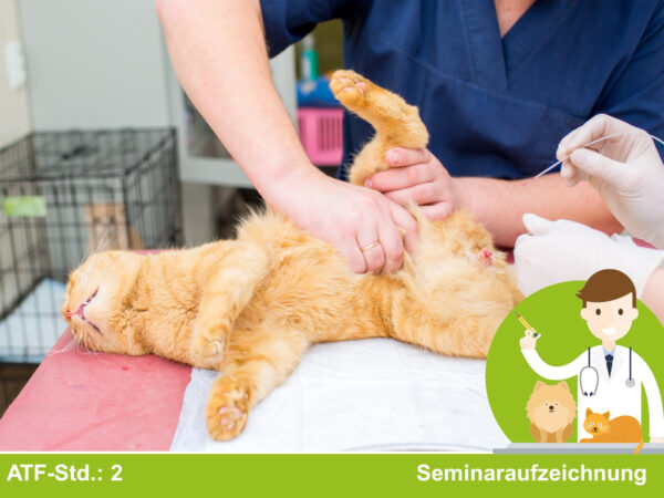 Consensus Statements für die Kleintiermedizin – Kurs 03: Urolithiasis