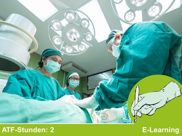 Operationen beim Kleintier Kurs 13: Rektum und Anus