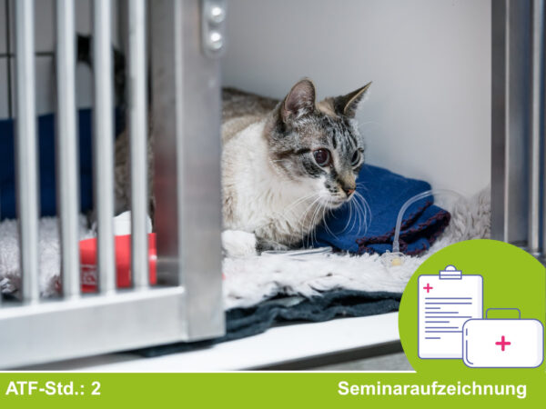 Sicher durch den Notdienst Kurs 3: Hämolysen und Thromben