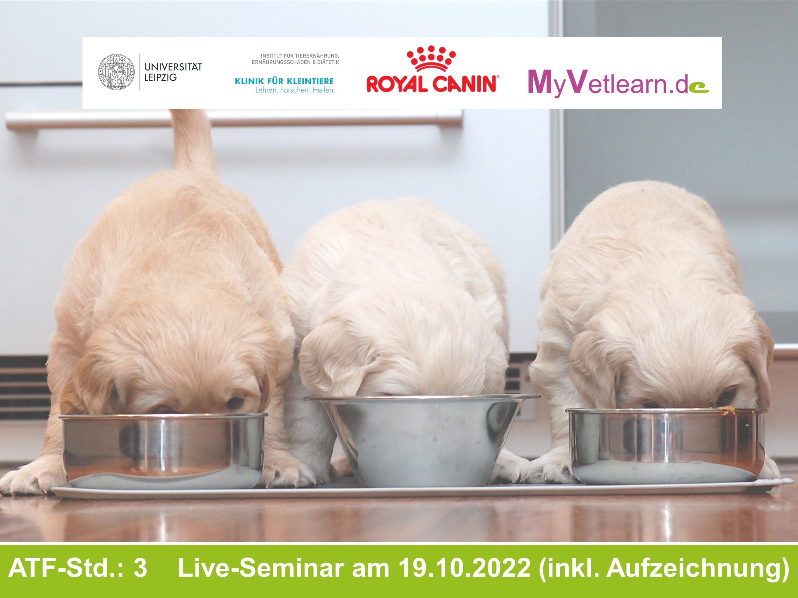 Leipziger Abendgespräch für Tierärzte „Start of Life bei Kitten und Welpen – Klinik und Diätetik im Dialog
