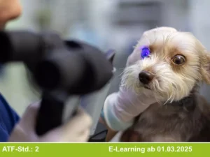 Ophthalmologische Grundlagen Teil 2: Untersuchungsgang