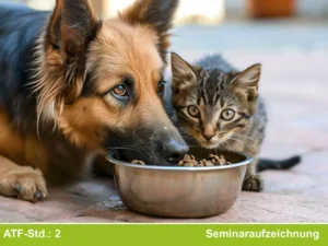 Dahlemer Diätetikseminare: Futtermittelallergien bei Hunden und Katzen