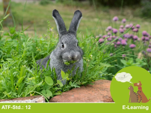 E-Learning Verhaltenstherapie Modul 9: Tierschutz bei der Haltung von Klein- und Heimtieren / Vermeidung haltungsbedingter Verhaltensprobleme