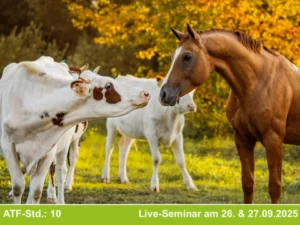 Homotoxikologie / Bioregulatorische Tiermedizin Kurs D