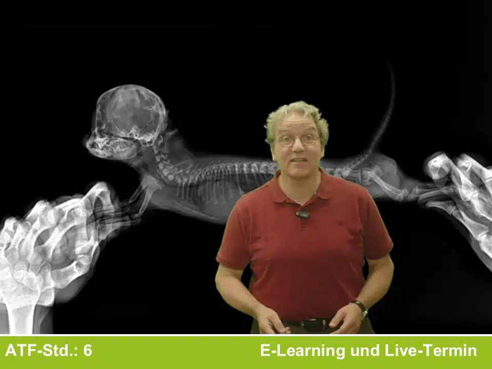 Online-Kurs zur Aktualisierung der Fachkunde im Strahlenschutz für Tierärztinnen und Tierärzte