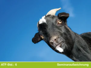 Die Ziege als Patient in der tierärztlichen Praxis - Kurs 2