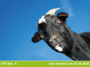 Die Ziege als Patient in der tierärztlichen Praxis - Kurs 2