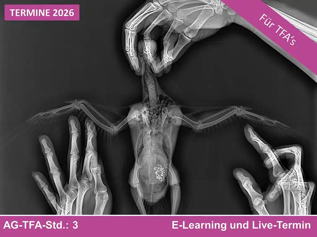 Online-Kurs zur Aktualisierung der Fachkunde im Strahlenschutz für TFAs